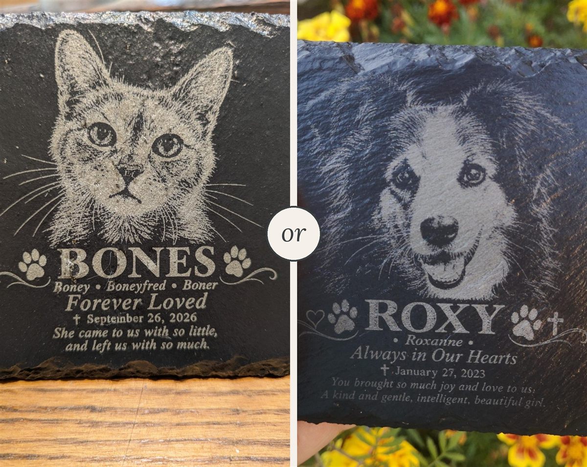 Two engraved pet memorial slates side by side: Bones the cat and Roxy the dog