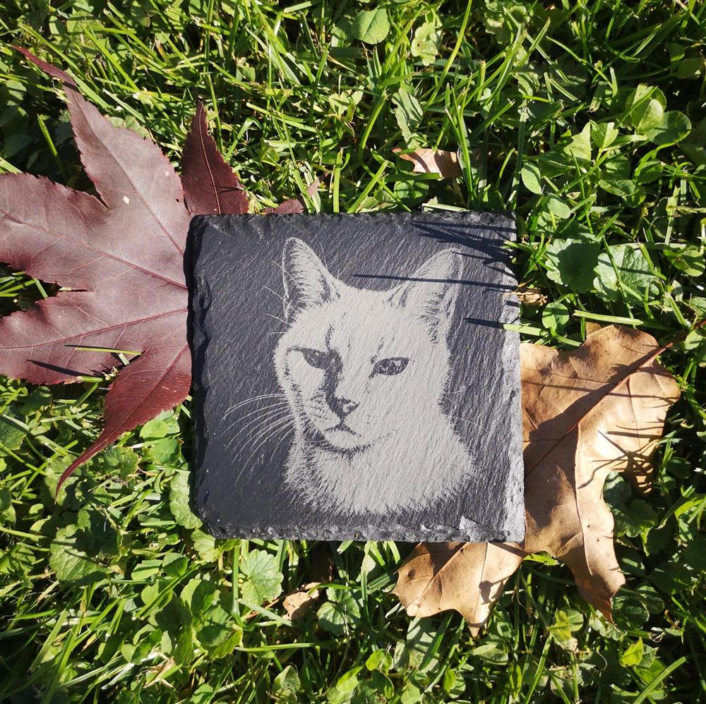 A cat portrait engraved on a natural slate, resting on grass and autumn leaves